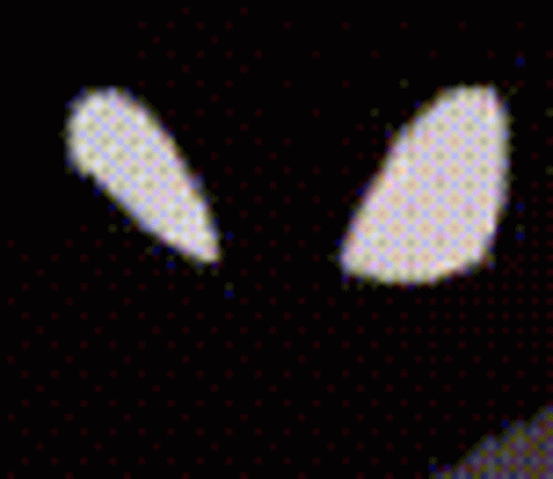 Spinel Steven Universe Creepy Smile GIF - Spinel Steven Universe Creepy Smile Shadow GIFs