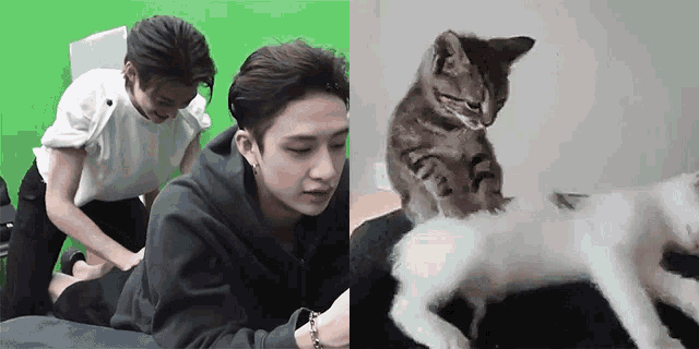 a man and a cat are playing with each other on a bed