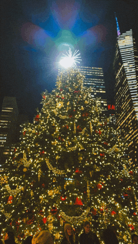 a christmas tree is lit up in front of a skyscraper that says vm