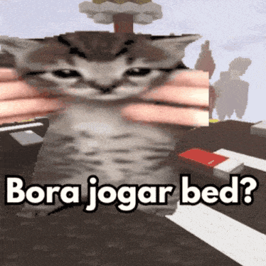 a picture of a cat with the words bora jogar bed written on it