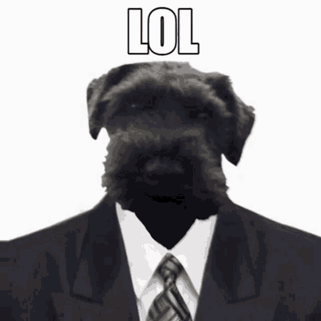 a dog is wearing a suit and tie with the words lol above it