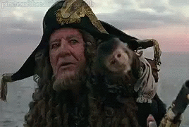 Captain Barbossa Monkey GIF