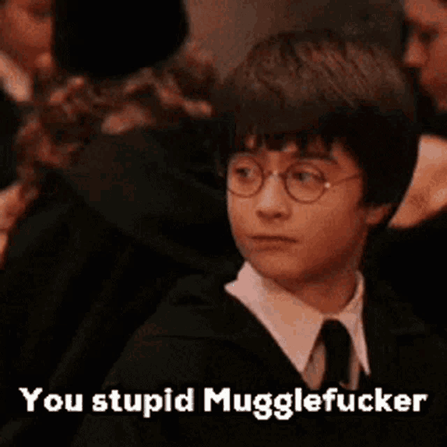 a picture of harry potter with the words you stupid mugglefucker