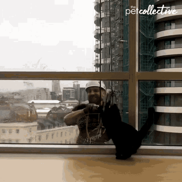 Playing The Pet Collective GIF - Playing The Pet Collective Window Cleaner GIFs