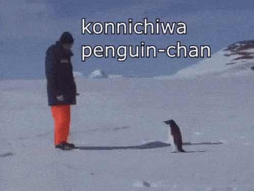 Penguin Attack GIF - Penguin Attack GIFs