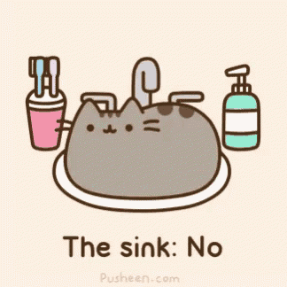 a cartoon of a cat on a plate with the words " the sink : no " on the bottom
