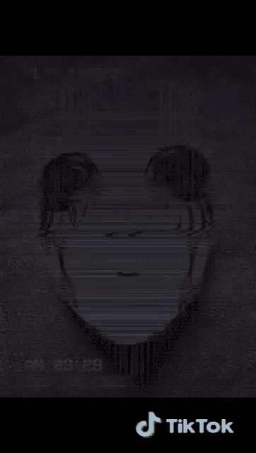 a picture of a person 's face is displayed on a black background with tiktok written on the bottom