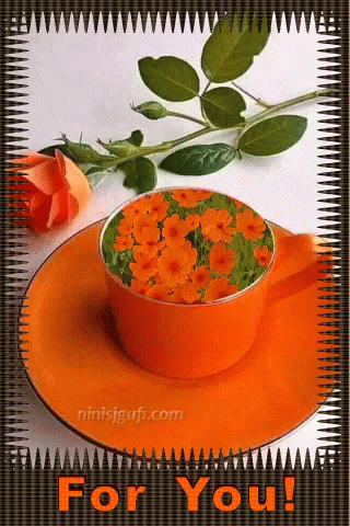 For You Flowers GIF - For You Flowers Cup GIFs