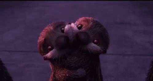 Otter Baby GIF - Otter Baby Cuddle GIFs
