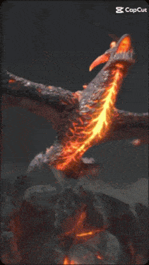 a picture of a dragon with a flame coming out of it