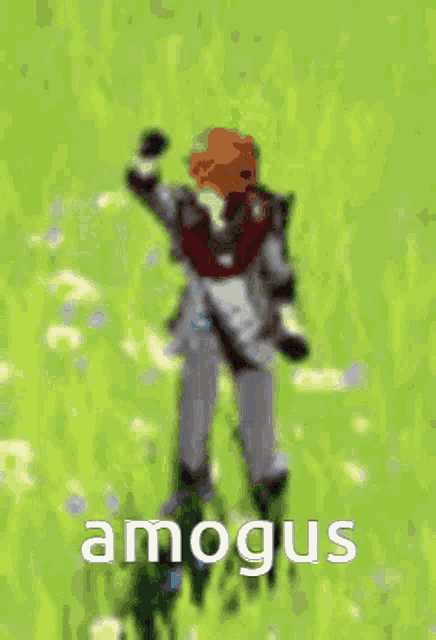 a cartoon character is standing in a field with his arms outstretched and the word amongus written on the bottom .