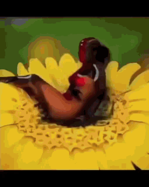 a close up of a caterpillar on a yellow flower