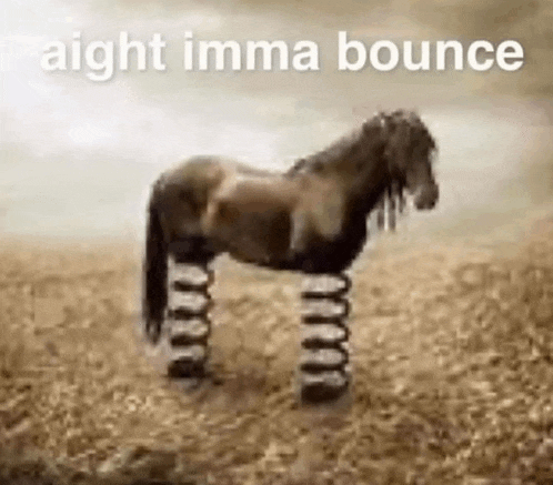 a horse is standing on a spring in a field .
