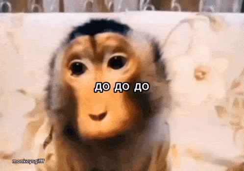 a close up of a monkey 's face with the words do do do written on it
