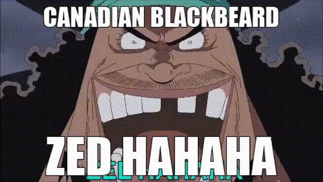 a cartoon of a man with a beard is laughing with the words `` canadian blackbeard zed hahaha '' .