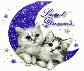 two kittens are sitting on a crescent moon with the words sweet dreams written above them