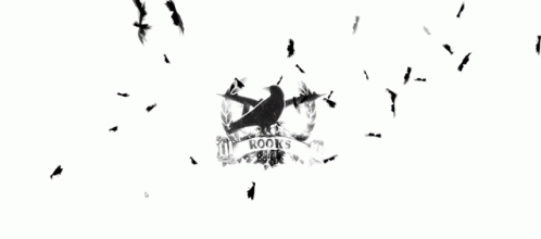 Rooks Feathers GIF - Rooks Feathers Crow GIFs