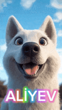 a smiling white dog with the name aliyev on the bottom