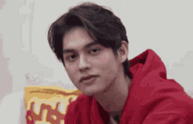 a young man in a red hoodie is sitting on a couch .