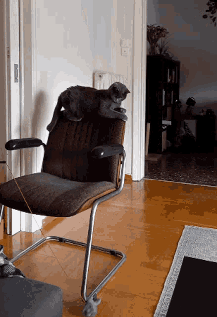 a cat sitting on a chair in a living room