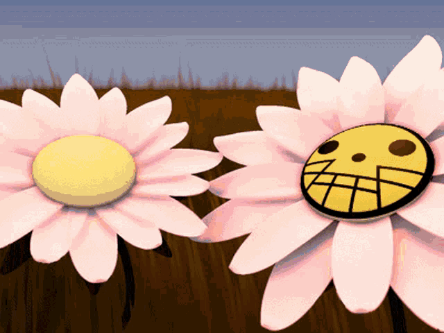 two pink flowers with a yellow face on them