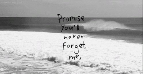 Promise Me Youll Never Forget Me GIF
