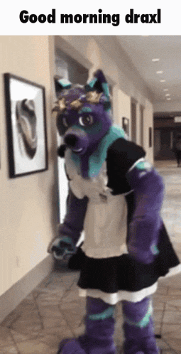 a purple furry mascot in a maid outfit says good morning draxi
