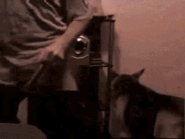 a man is standing next to a dog that is looking at the camera
