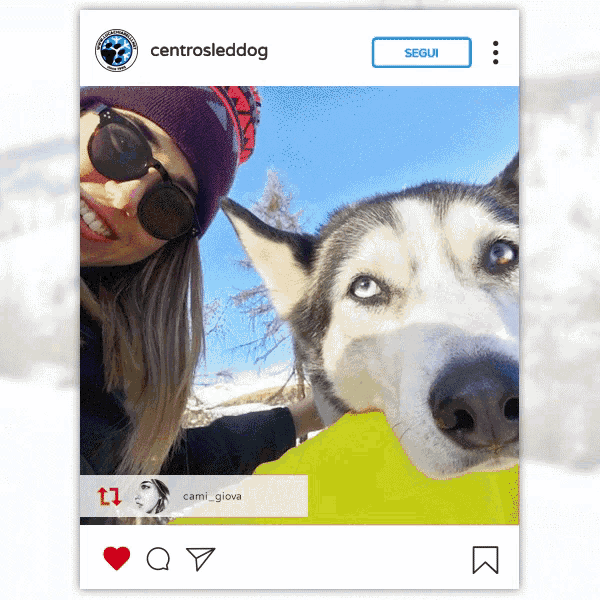 a picture of a woman and a dog with centrosleddog written on the top