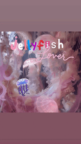 a poster with jellyfish and the words jellyfish lover written on it