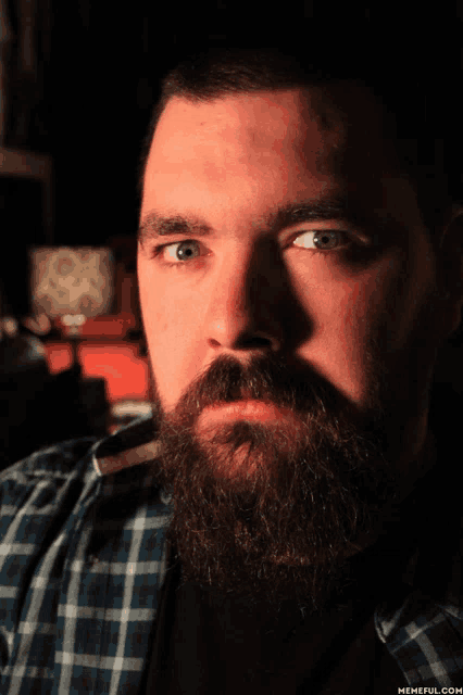 a man with a beard and a plaid shirt has a memeful.com watermark on the bottom right