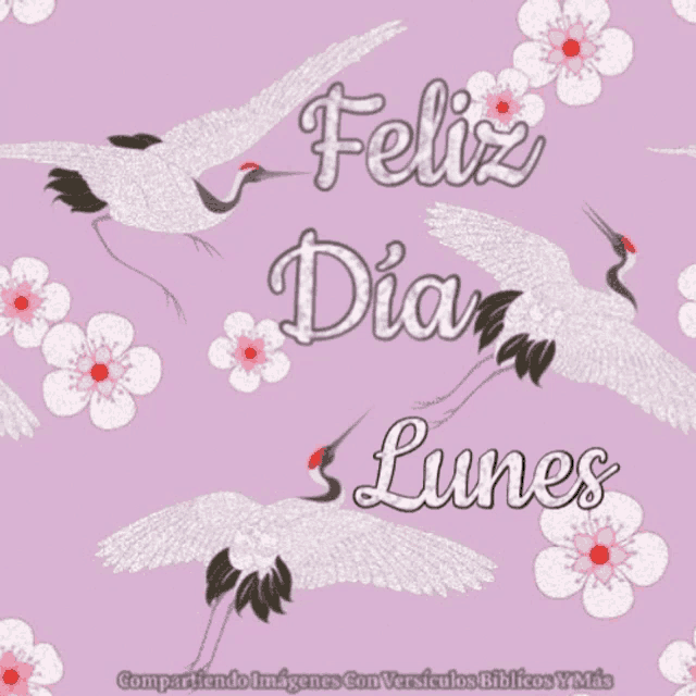 a poster that says feliz dia lunes in spanish