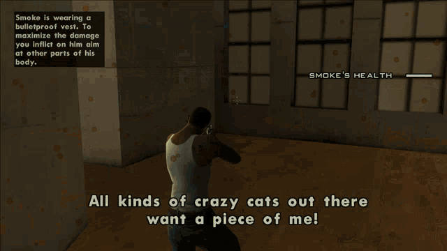 a screenshot of a video game that says smoke 's health at the top