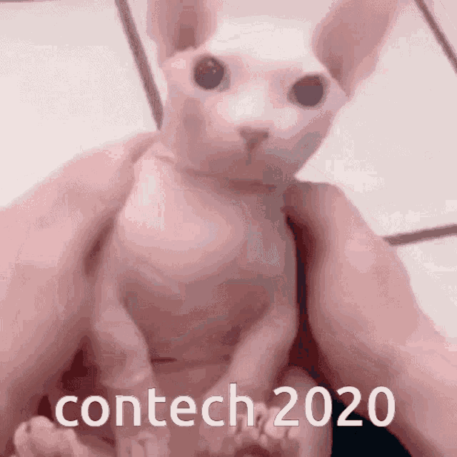 Contechs Contech2020 GIF - Contechs Contech2020 GIFs