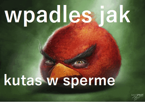 a painting of an angry bird with the words " wpadles jak kutas w sperme "