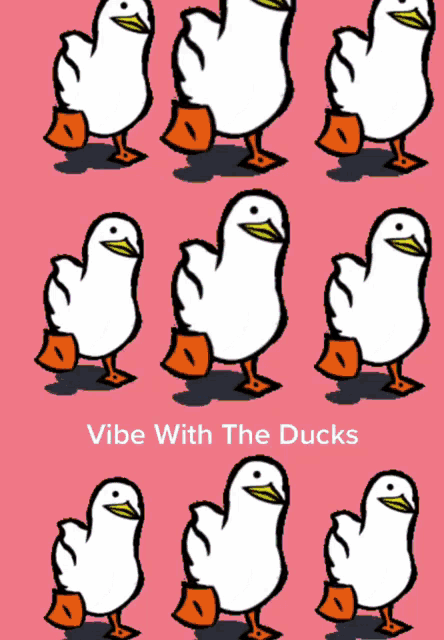 Ducks Vibes GIF - Ducks Vibes GIFs