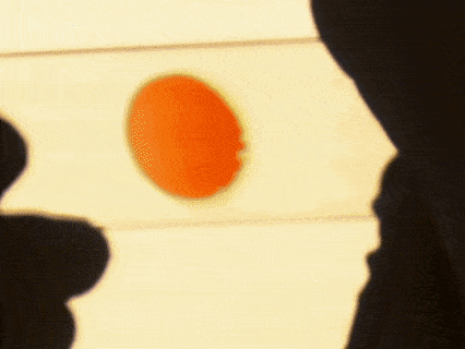 a close up of a person 's hand holding an orange circle