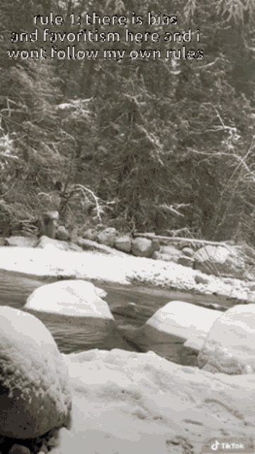 a black and white photo of a snowy river with a caption that says rule 1 there is bias and favoritism here