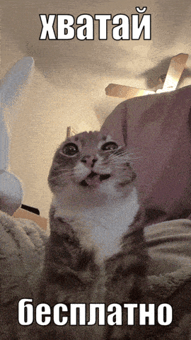 a picture of a cat with a caption in russian that says xbatai