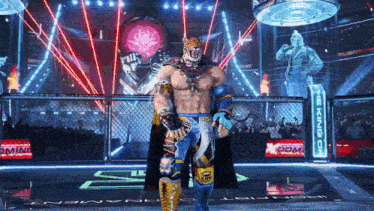 a man in a wrestling costume is standing in a ring with a crowd in the background .