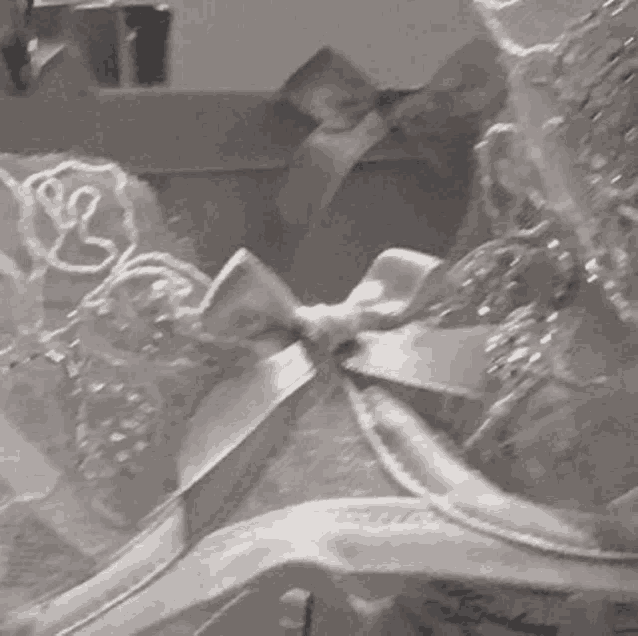 a black and white photo of a lace top with a bow on it .