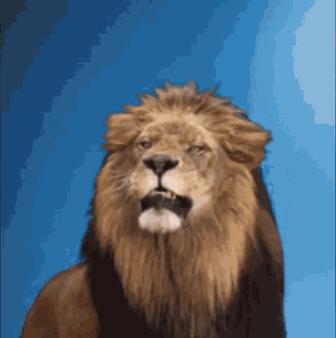 Lion Roar GIF - Lion Roar King Of The Jungle GIFs