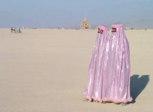 Burqa GIF - Burqa GIFs