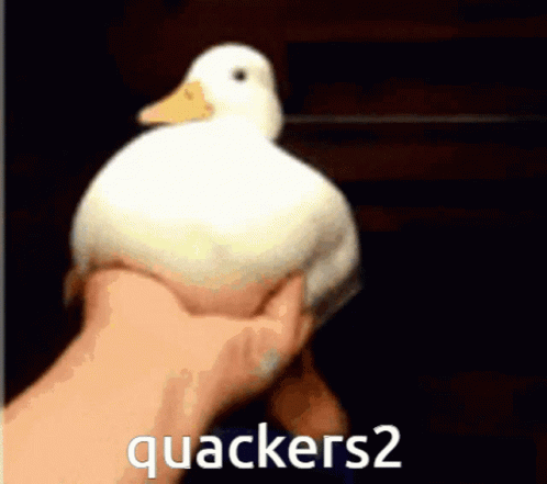 Quackers2 GIF - Quackers2 GIFs