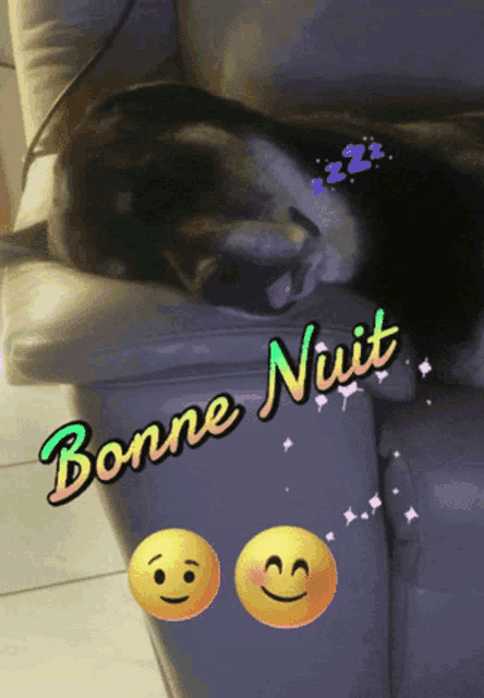 a picture of a dog laying on a couch with the words bonne nuit below it