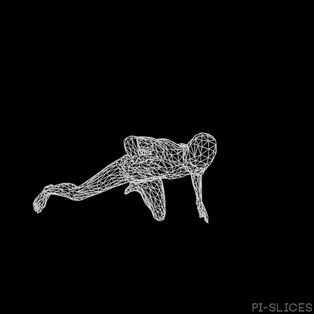 a black and white drawing of a skeleton with the words pi-slices written on the bottom