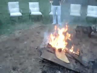Somebody Is Excited For Fire... #dogs GIF - Dogs Fire Excited GIFs