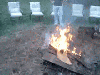 a group of people standing around a fire in a backyard