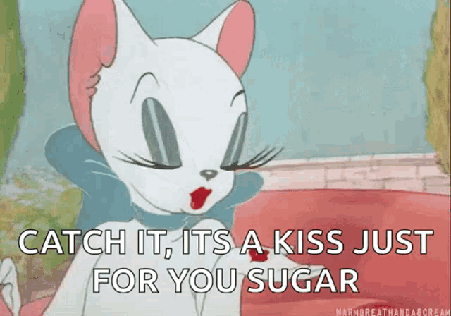 a cartoon cat is saying `` catch it , it 's a kiss just for you sugar ''