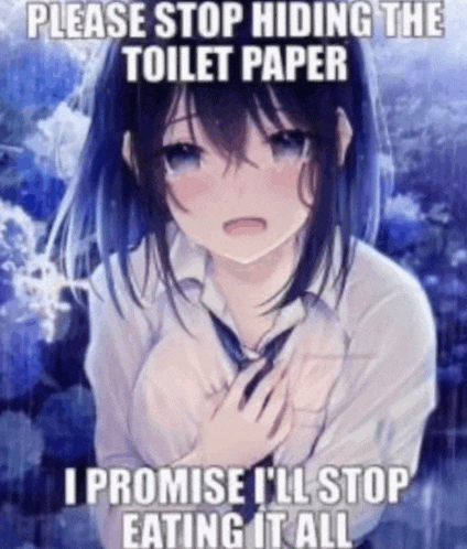 a picture of a girl with the caption please stop hiding the toilet paper